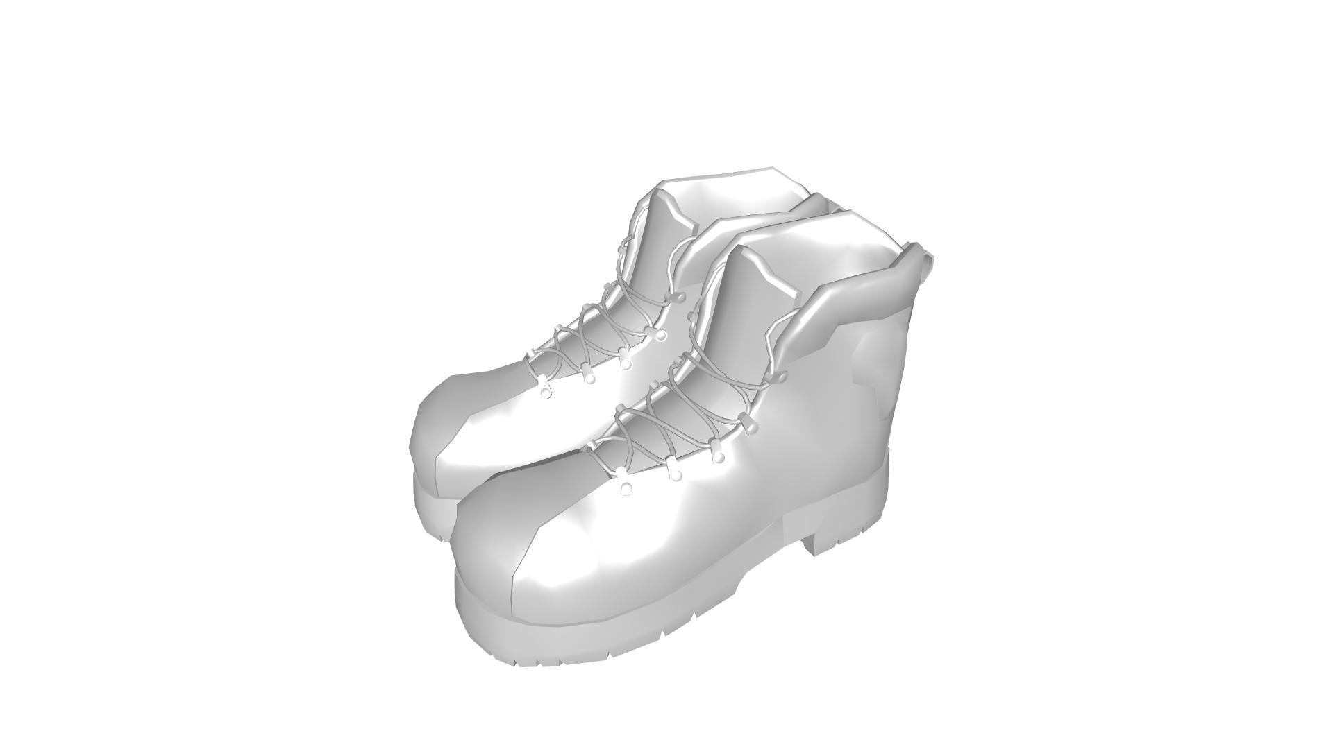 Bottes v1